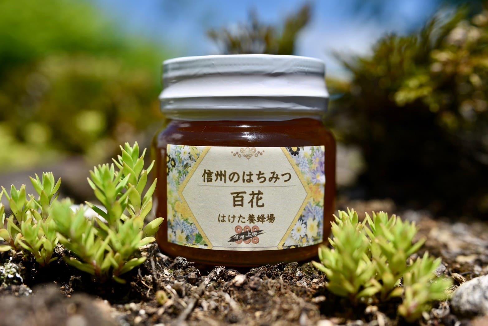 百花