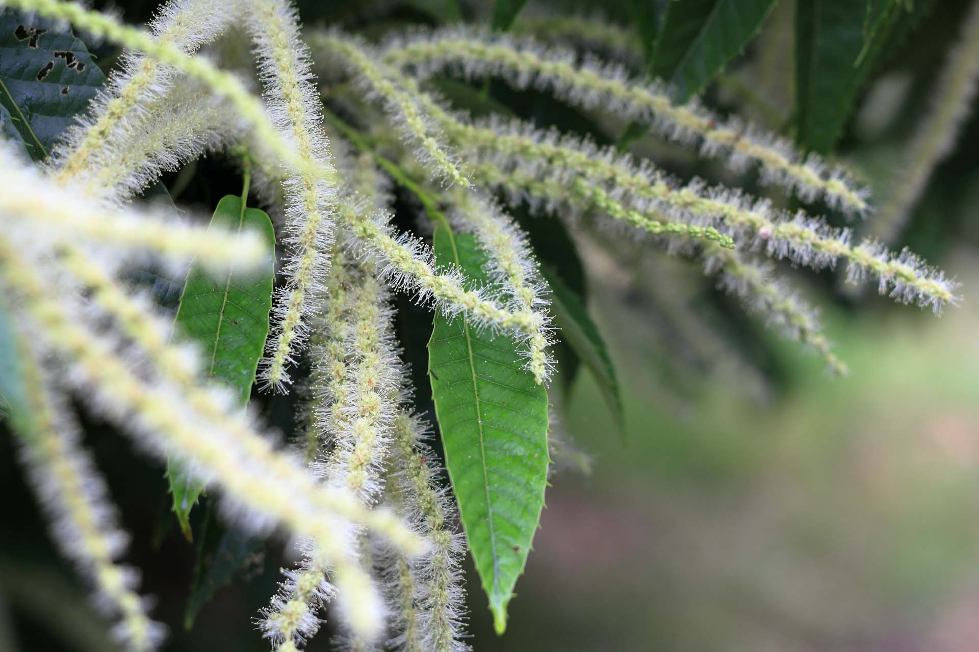 時期:6月後半